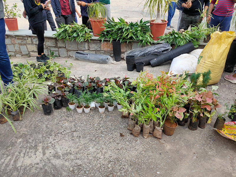 Plant Adoption Drive