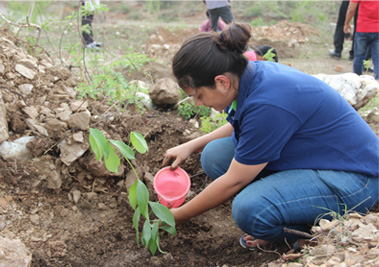 IIMU Organised Green Campus Drive