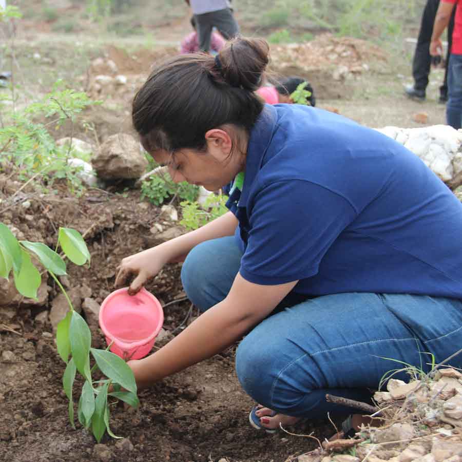 IIMU Organised Green Campus Drive