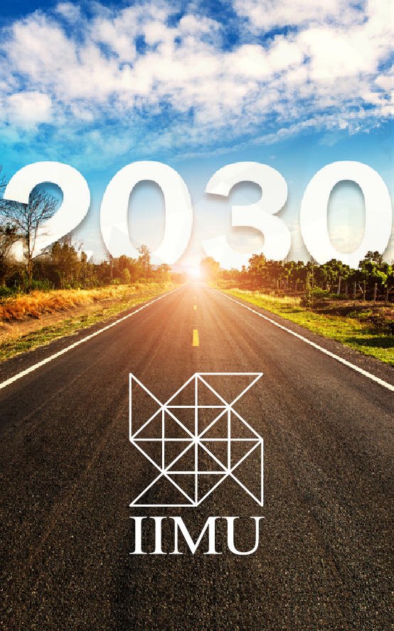 Vision-2030-box
